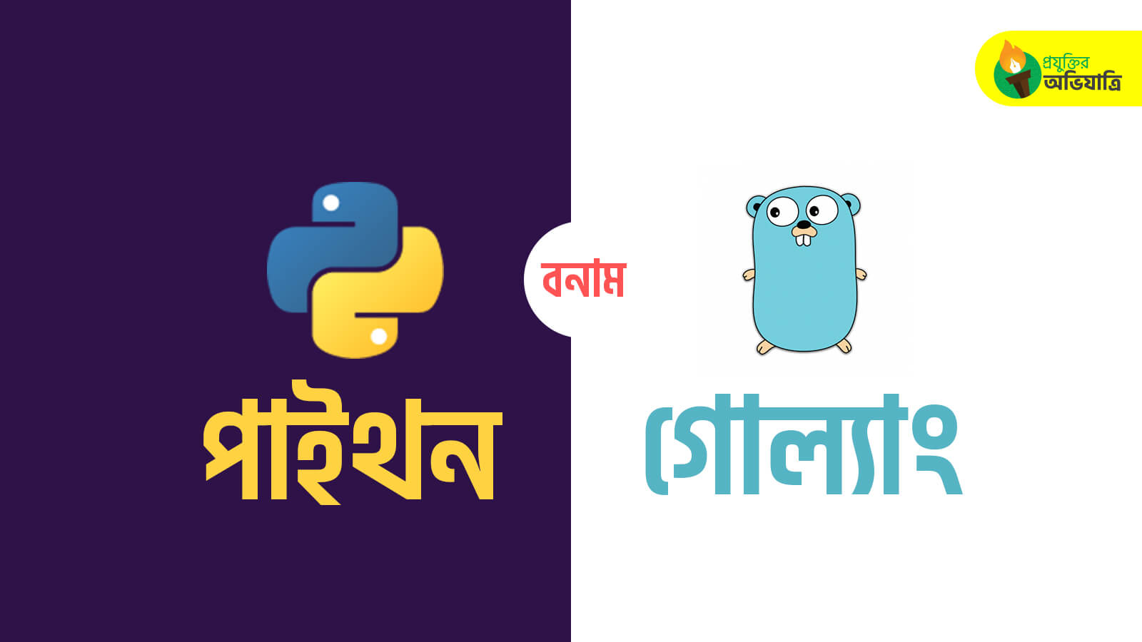 python vs golang পাইথন বনাম গোল্যাং